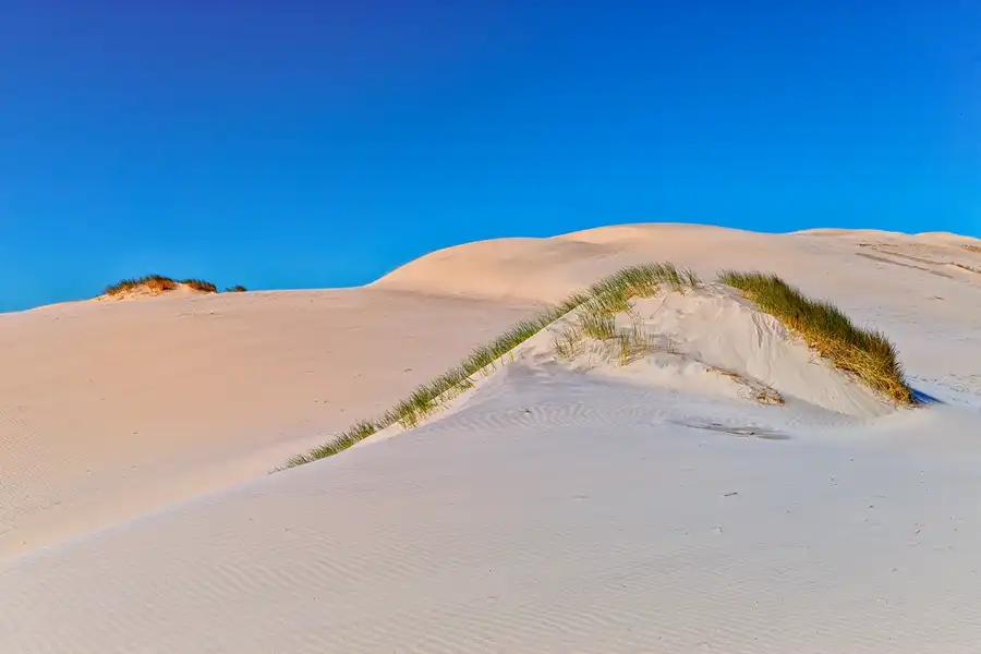 028 | 2025 | Bunken | Rabjerg Mile | © carsten riede fotografie