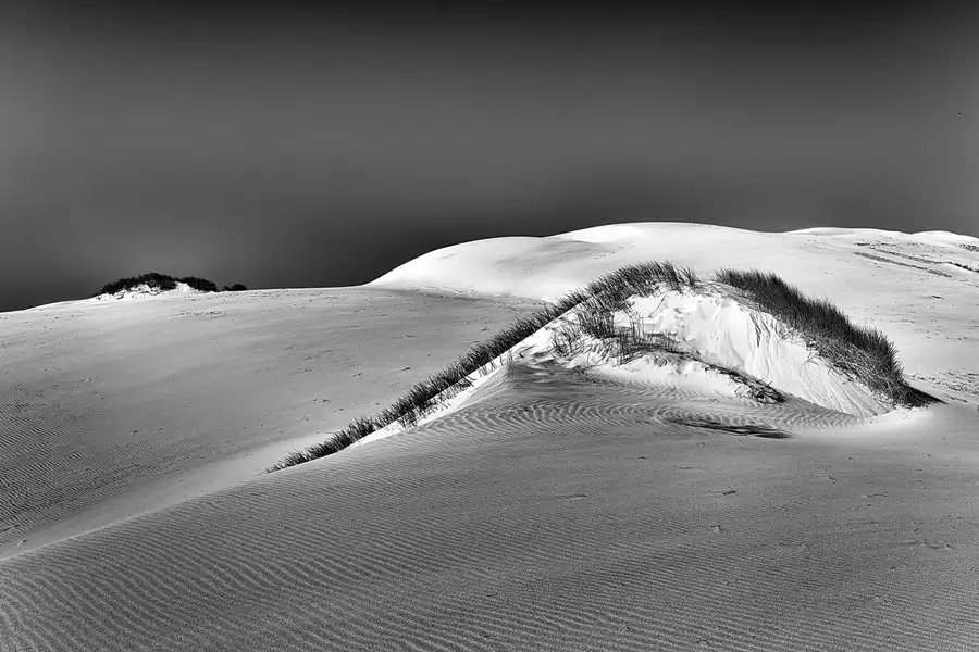 029 | 2025 | Bunken | Rabjerg Mile | © carsten riede fotografie