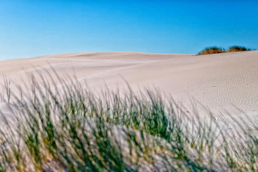 033 | 2025 | Bunken | Rabjerg Mile | © carsten riede fotografie