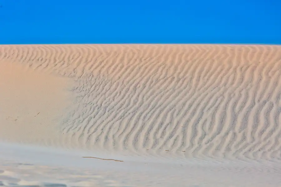 039 | 2025 | Bunken | Rabjerg Mile | © carsten riede fotografie