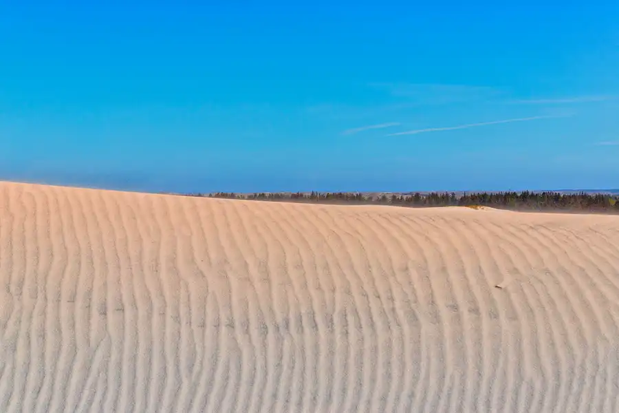 041 | 2025 | Bunken | Rabjerg Mile | © carsten riede fotografie