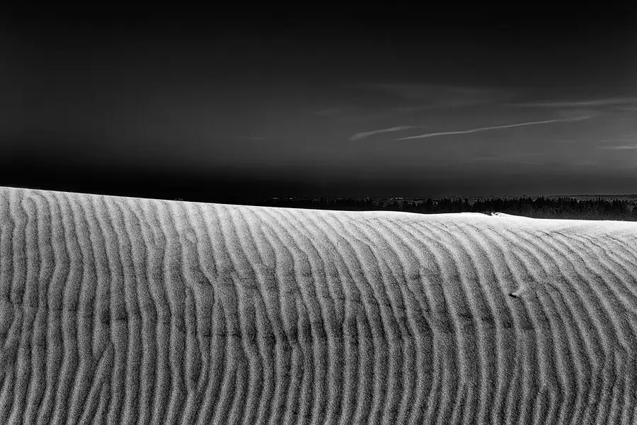 042 | 2025 | Bunken | Rabjerg Mile | © carsten riede fotografie