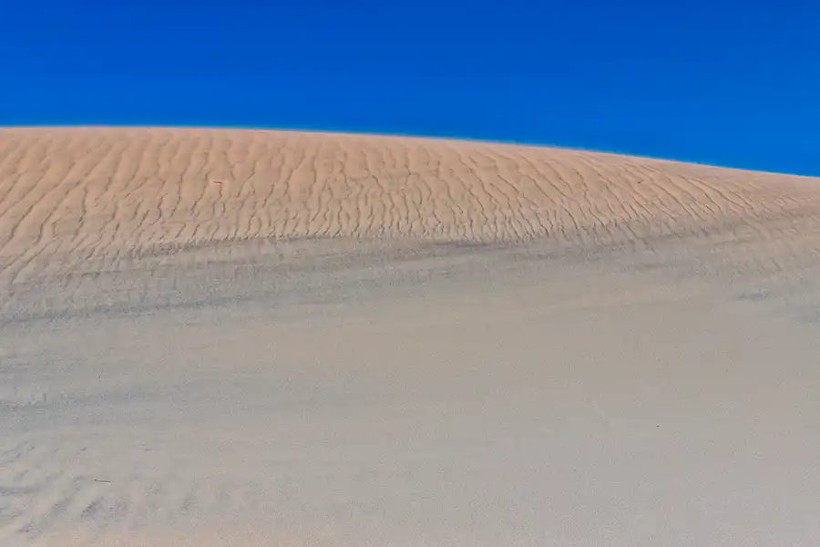 043 | 2025 | Bunken | Rabjerg Mile | © carsten riede fotografie