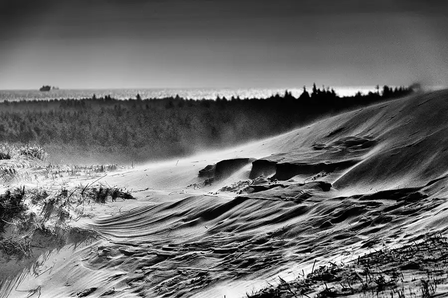 048 | 2025 | Bunken | Rabjerg Mile | © carsten riede fotografie