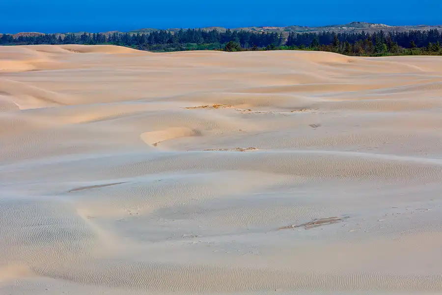 049 | 2025 | Bunken | Rabjerg Mile | © carsten riede fotografie