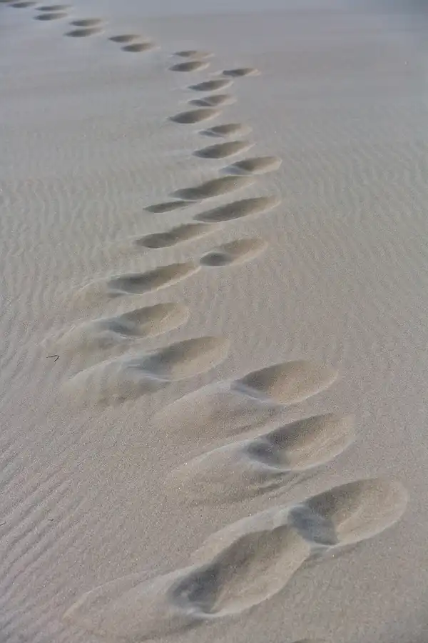 061 | 2025 | Bunken | Rabjerg Mile | © carsten riede fotografie