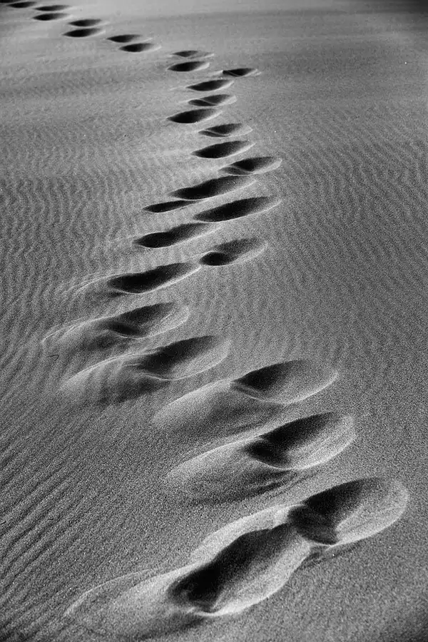 062 | 2025 | Bunken | Rabjerg Mile | © carsten riede fotografie