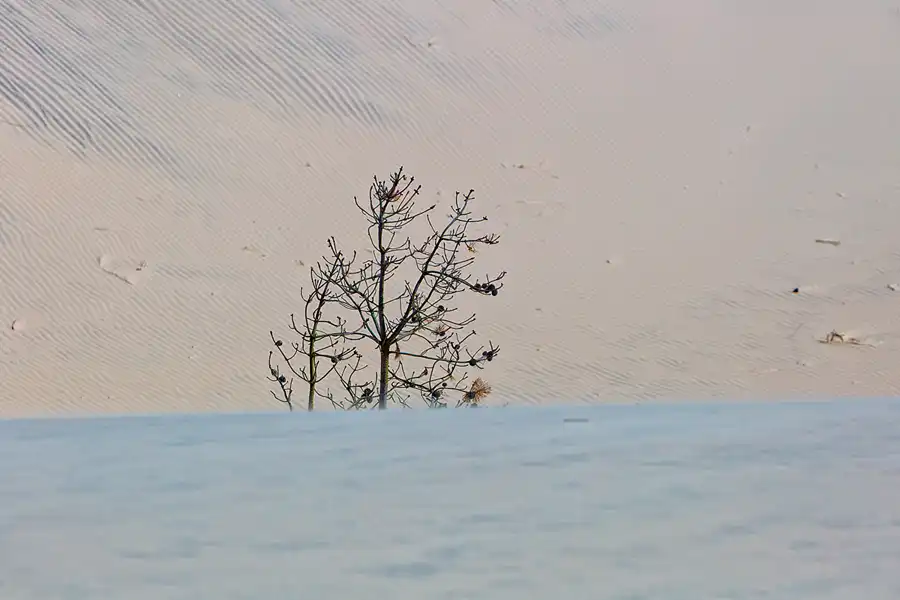 063 | 2025 | Bunken | Rabjerg Mile | © carsten riede fotografie