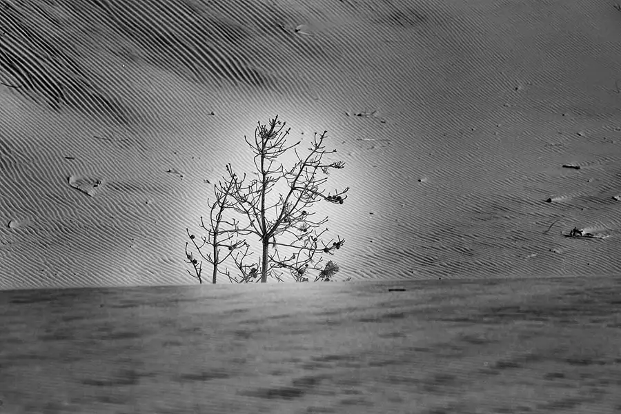 064 | 2025 | Bunken | Rabjerg Mile | © carsten riede fotografie