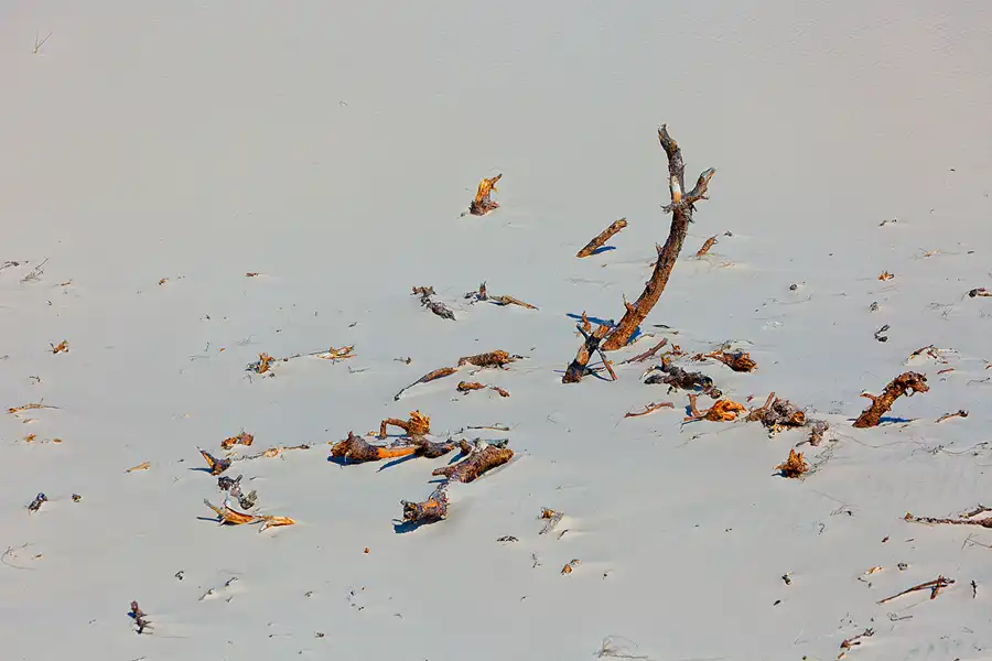 068 | 2025 | Bunken | Rabjerg Mile | © carsten riede fotografie
