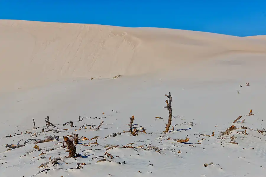 070 | 2025 | Bunken | Rabjerg Mile | © carsten riede fotografie