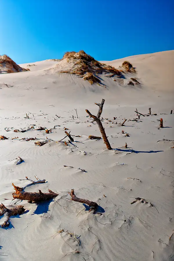074 | 2025 | Bunken | Rabjerg Mile | © carsten riede fotografie