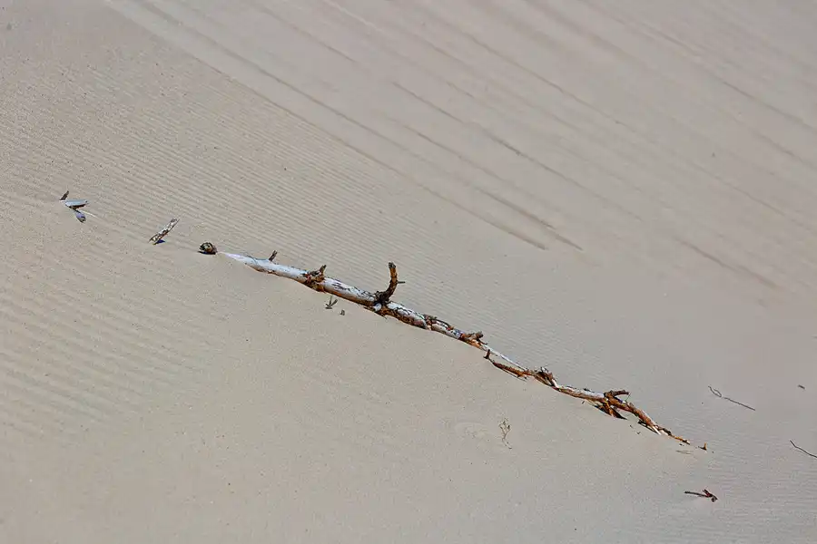 076 | 2025 | Bunken | Rabjerg Mile | © carsten riede fotografie