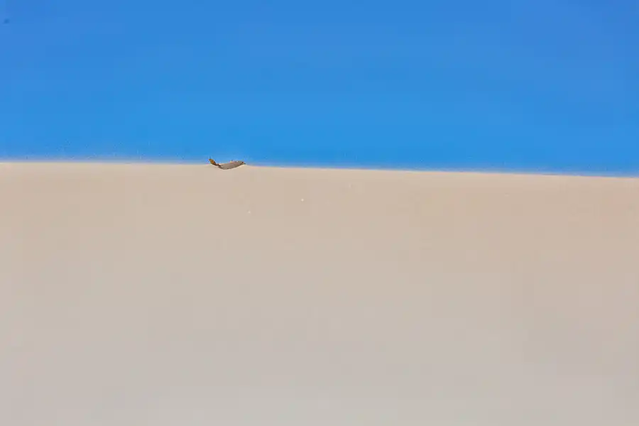 078 | 2025 | Bunken | Rabjerg Mile | © carsten riede fotografie