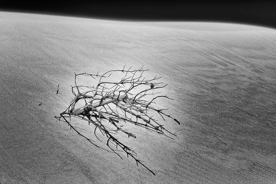 082 | 2025 | Bunken | Rabjerg Mile | © carsten riede fotografie