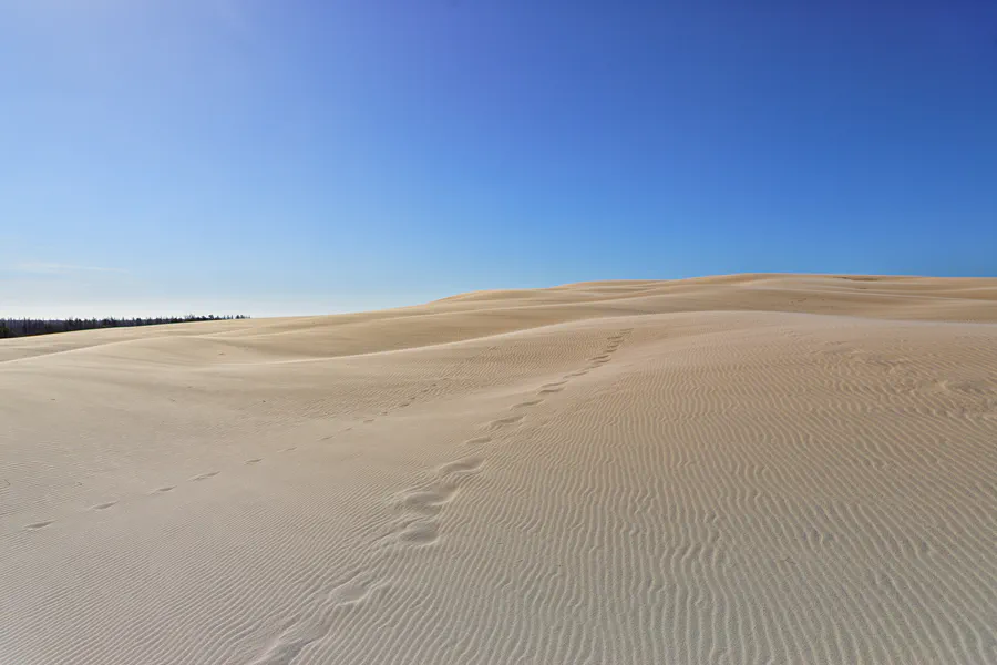 001 | 2025 | Bunken | Rabjerg Mile | © carsten riede fotografie