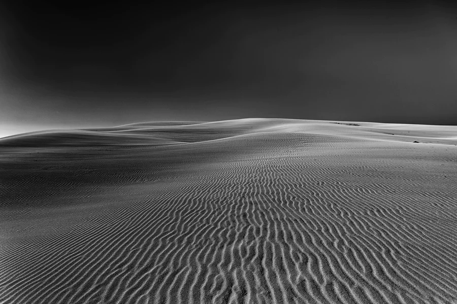 004 | 2025 | Bunken | Rabjerg Mile | © carsten riede fotografie