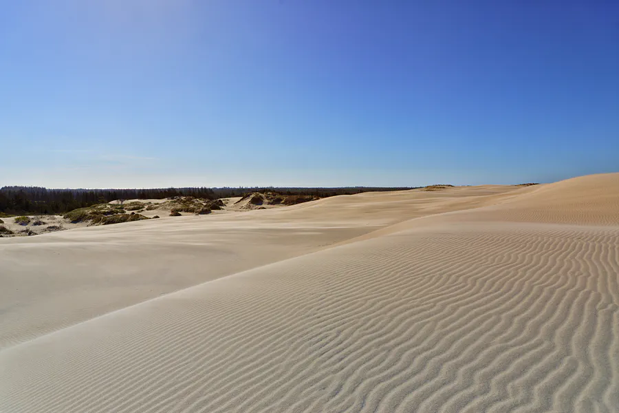 005 | 2025 | Bunken | Rabjerg Mile | © carsten riede fotografie