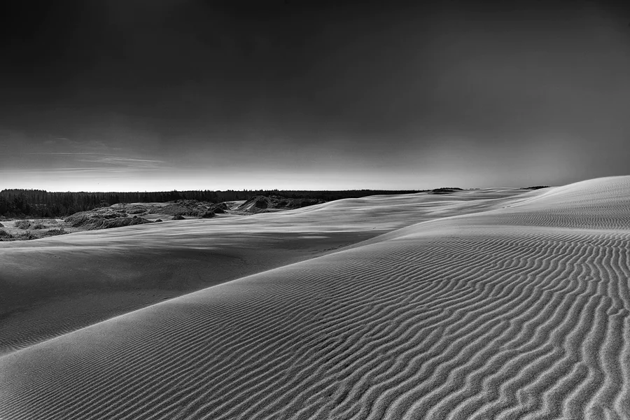 006 | 2025 | Bunken | Rabjerg Mile | © carsten riede fotografie