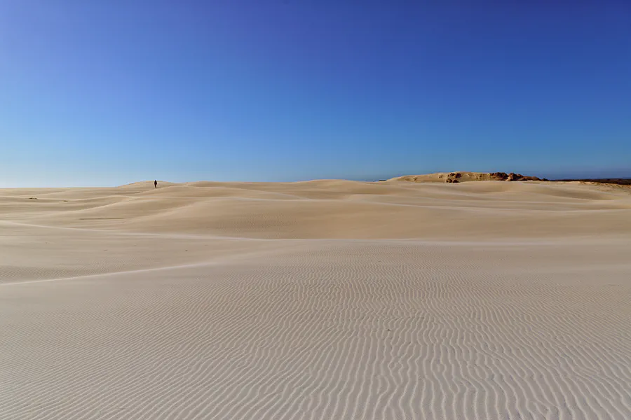 011 | 2025 | Bunken | Rabjerg Mile | © carsten riede fotografie