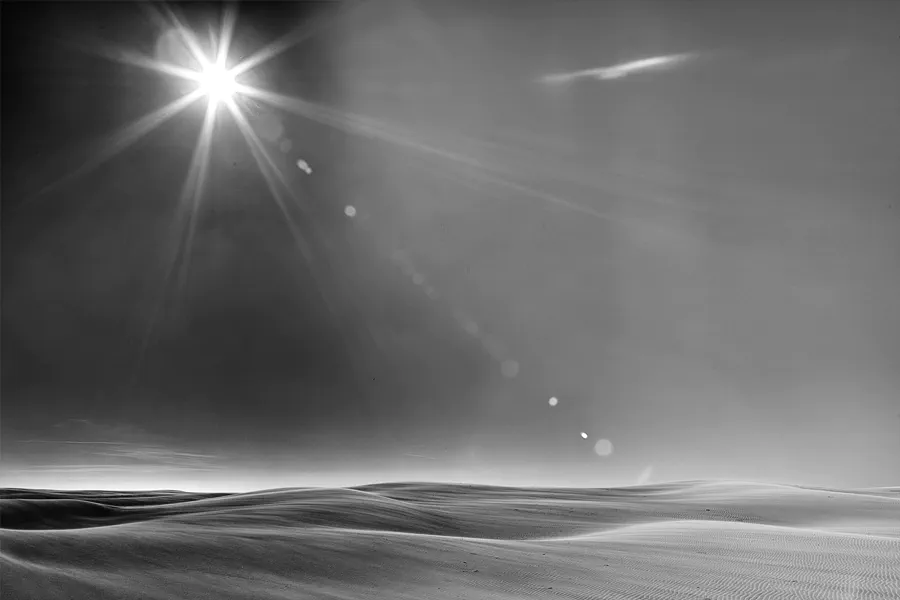 014 | 2025 | Bunken | Rabjerg Mile | © carsten riede fotografie