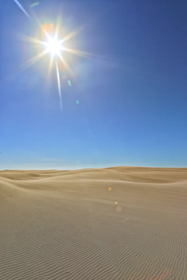 015 | 2025 | Bunken | Rabjerg Mile | © carsten riede fotografie