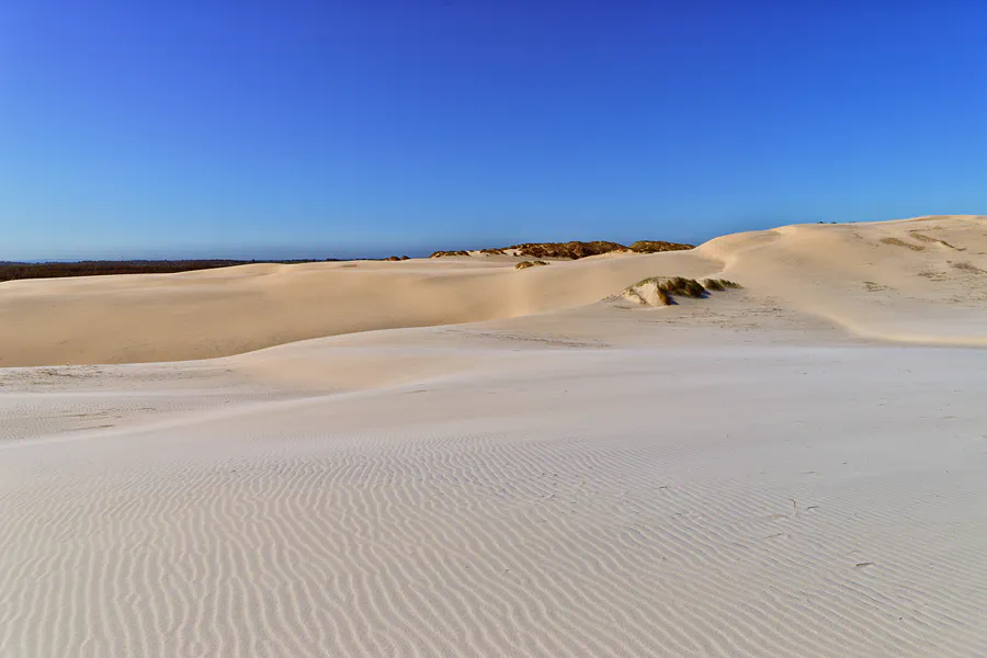 019 | 2025 | Bunken | Rabjerg Mile | © carsten riede fotografie