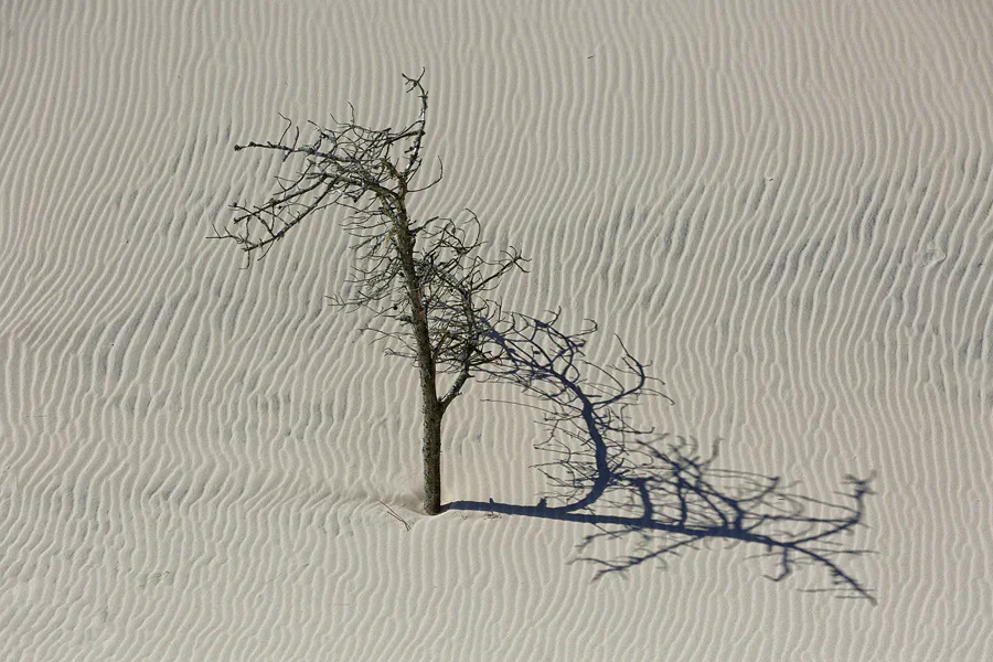 023 | 2025 | Bunken | Rabjerg Mile | © carsten riede fotografie