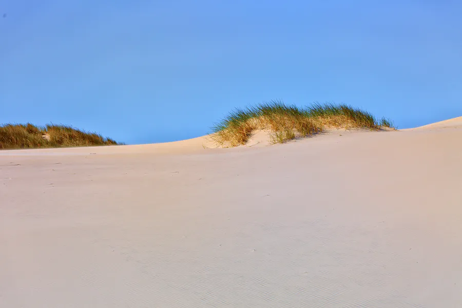 025 | 2025 | Bunken | Rabjerg Mile | © carsten riede fotografie