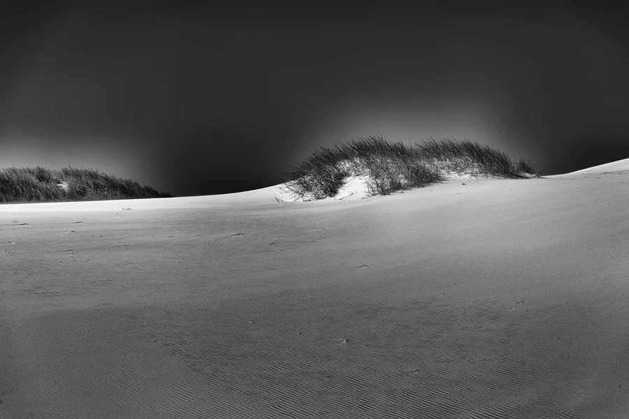 026 | 2025 | Bunken | Rabjerg Mile | © carsten riede fotografie