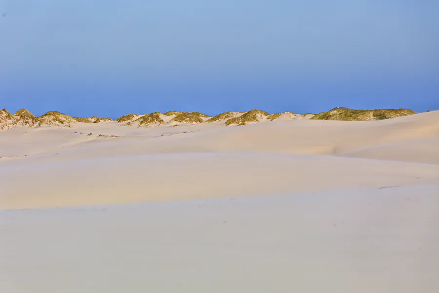 030 | 2025 | Bunken | Rabjerg Mile | © carsten riede fotografie