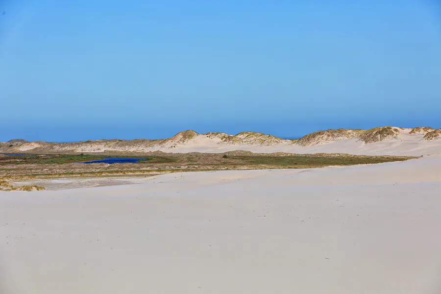 032 | 2025 | Bunken | Rabjerg Mile | © carsten riede fotografie