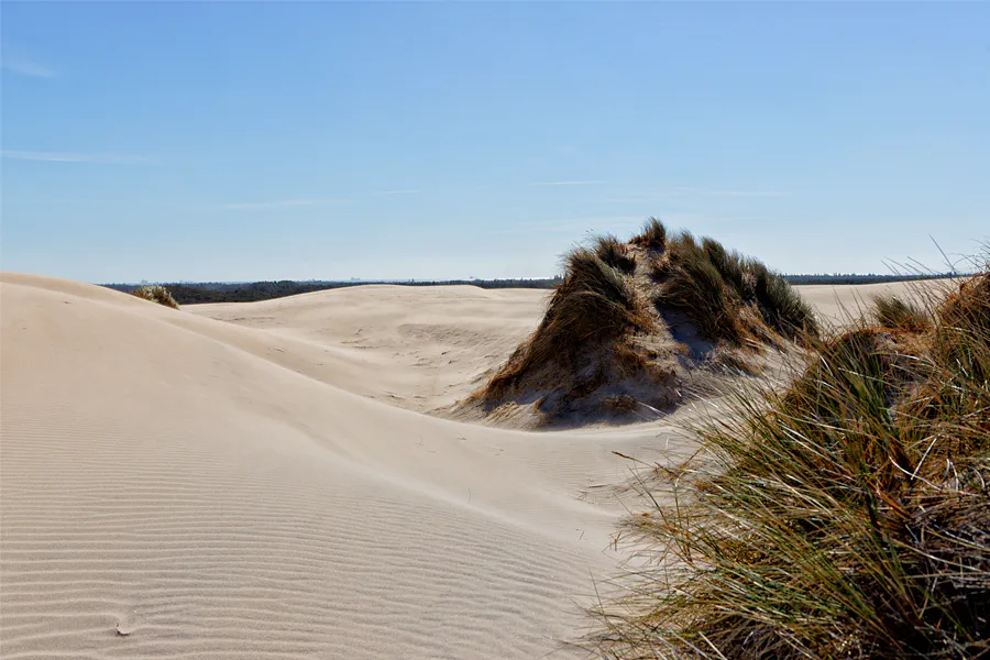 035 | 2025 | Bunken | Rabjerg Mile | © carsten riede fotografie