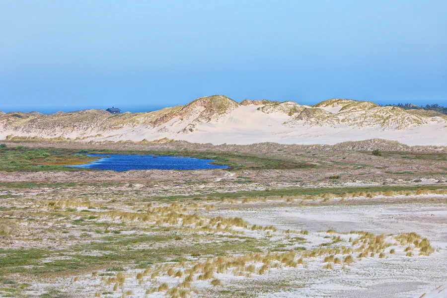 038 | 2025 | Bunken | Rabjerg Mile | © carsten riede fotografie