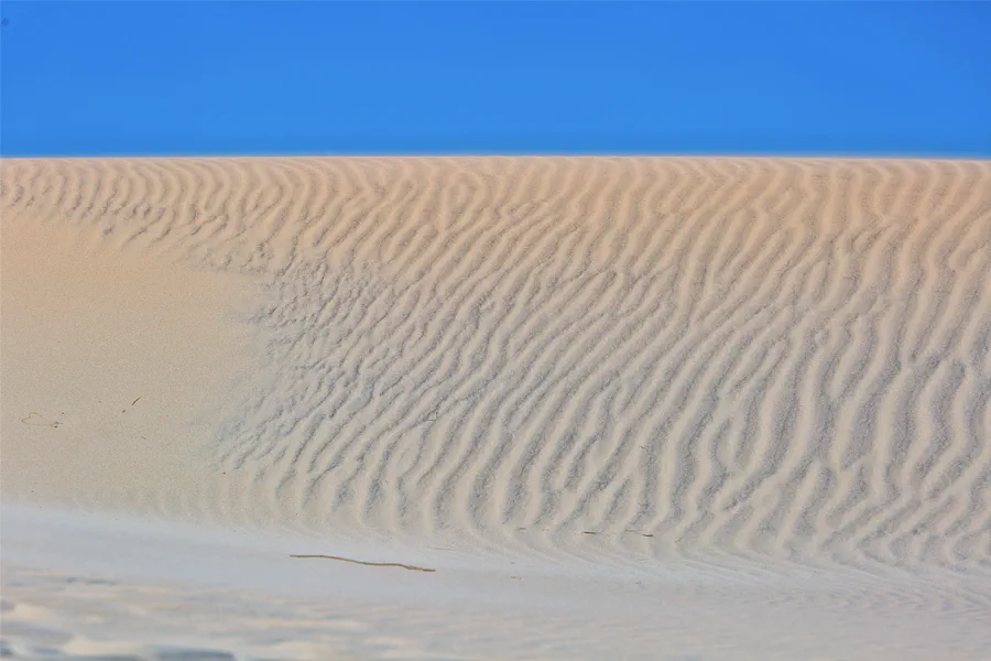 039 | 2025 | Bunken | Rabjerg Mile | © carsten riede fotografie