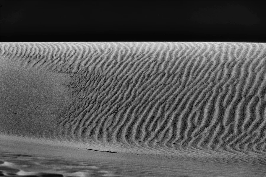 040 | 2025 | Bunken | Rabjerg Mile | © carsten riede fotografie