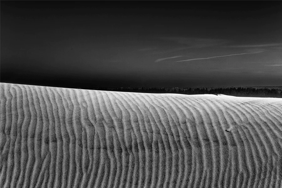 042 | 2025 | Bunken | Rabjerg Mile | © carsten riede fotografie