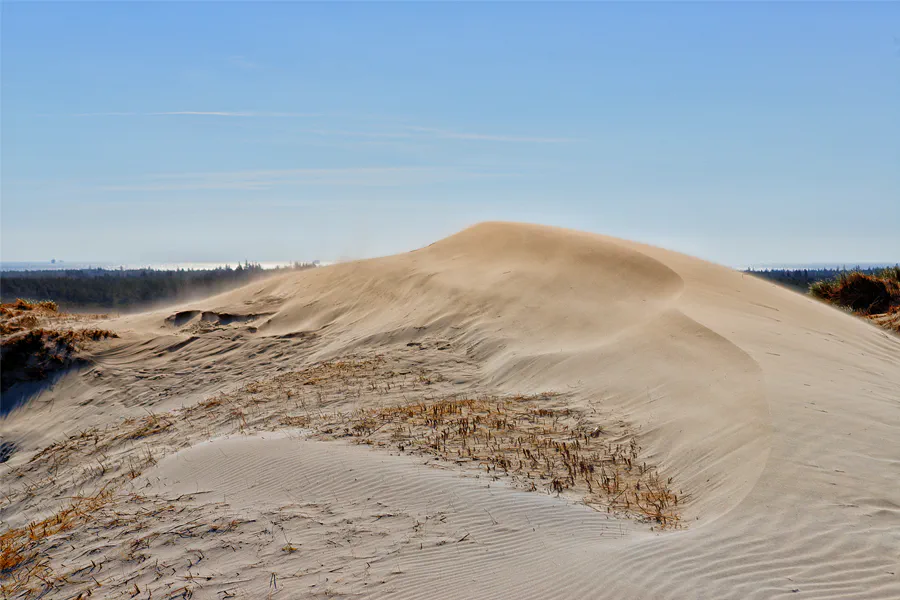045 | 2025 | Bunken | Rabjerg Mile | © carsten riede fotografie