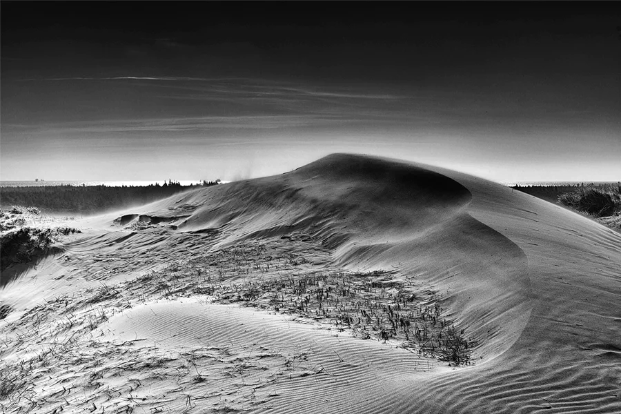 046 | 2025 | Bunken | Rabjerg Mile | © carsten riede fotografie