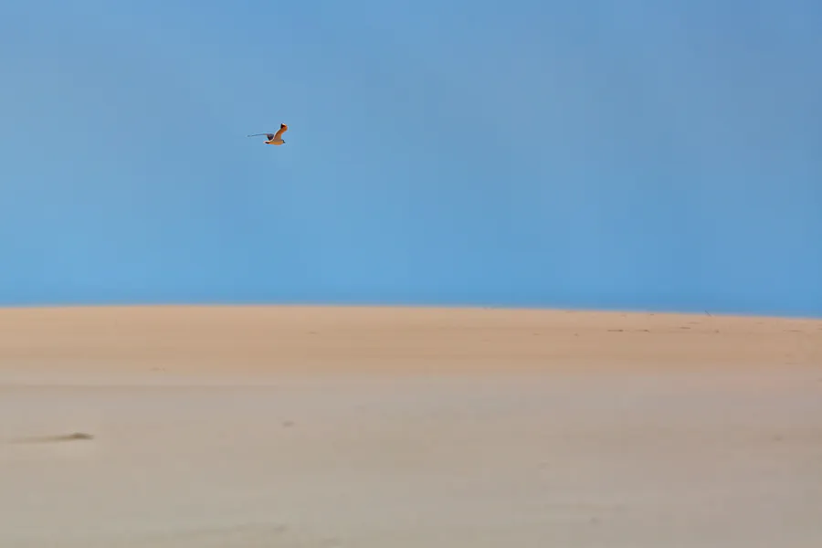 060 | 2025 | Bunken | Rabjerg Mile | © carsten riede fotografie