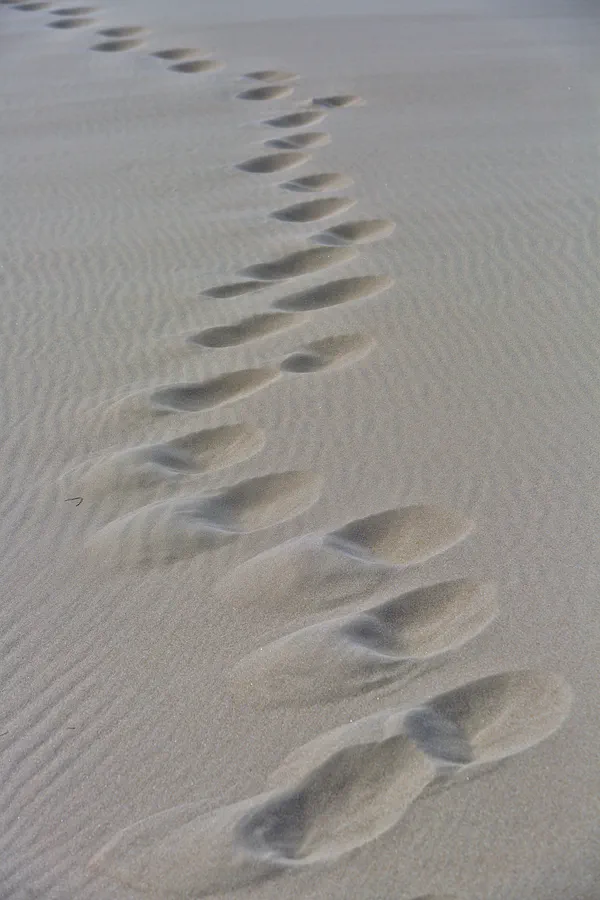 061 | 2025 | Bunken | Rabjerg Mile | © carsten riede fotografie
