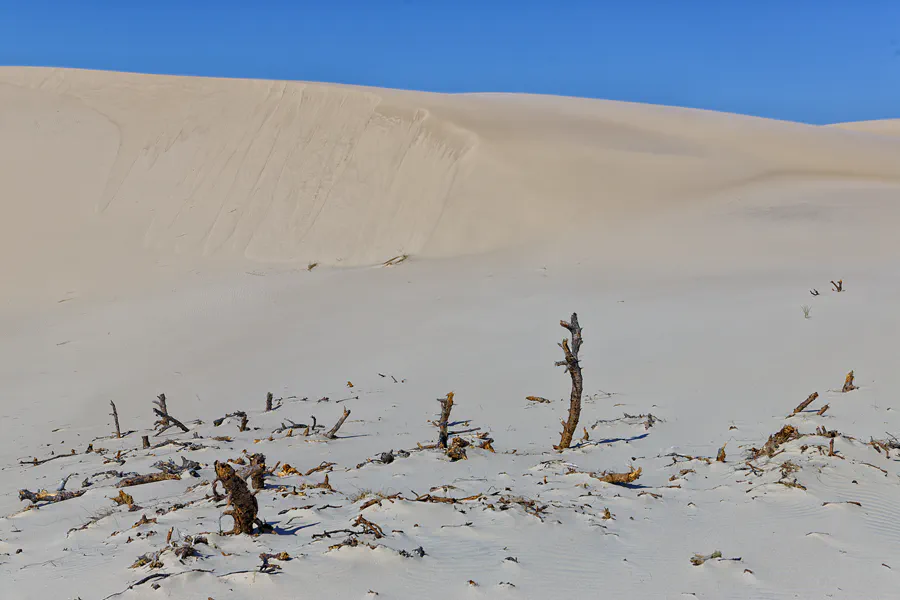 070 | 2025 | Bunken | Rabjerg Mile | © carsten riede fotografie