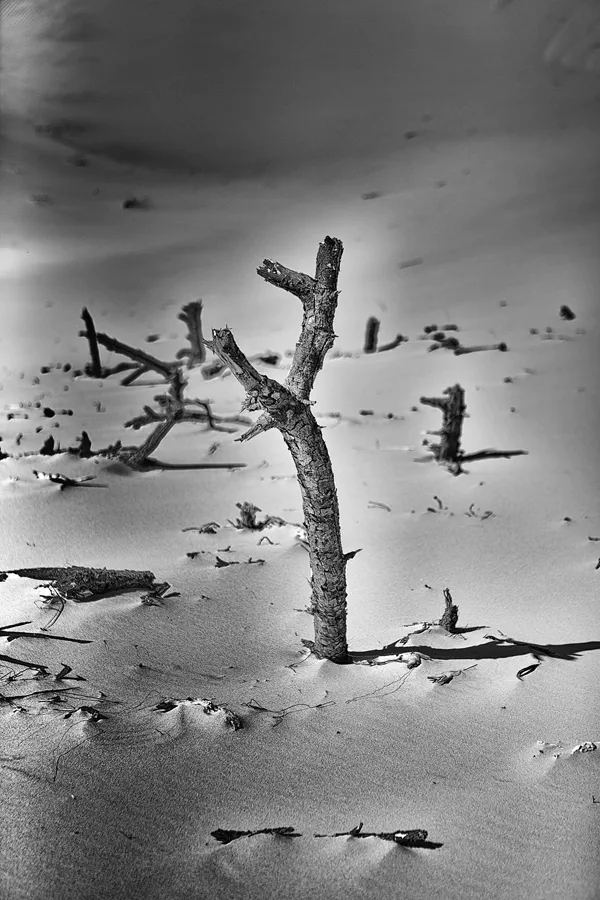 073 | 2025 | Bunken | Rabjerg Mile | © carsten riede fotografie