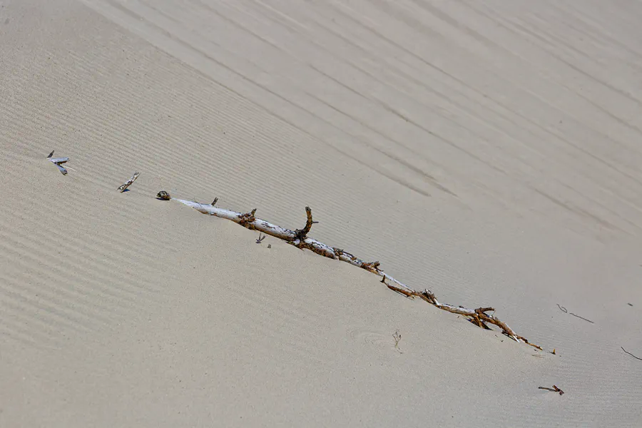 076 | 2025 | Bunken | Rabjerg Mile | © carsten riede fotografie