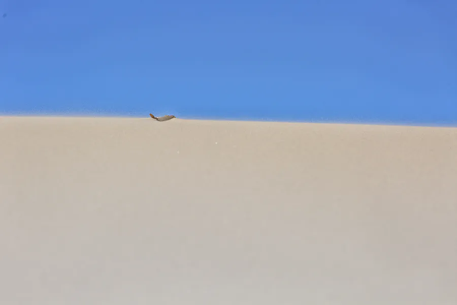 078 | 2025 | Bunken | Rabjerg Mile | © carsten riede fotografie