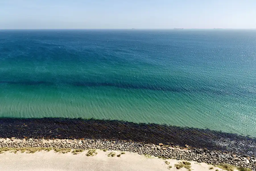 165 | 2025 | Skagen | Blick vom Det Gra Fyr | © carsten riede fotografie