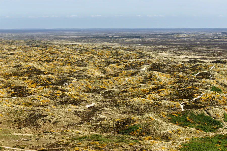010 | 2025 | Blavand | Blick von Blavands Huk | © carsten riede fotografie