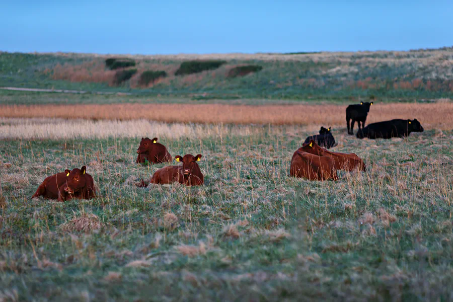 056 | 2025 | Lemvig | © carsten riede fotografie