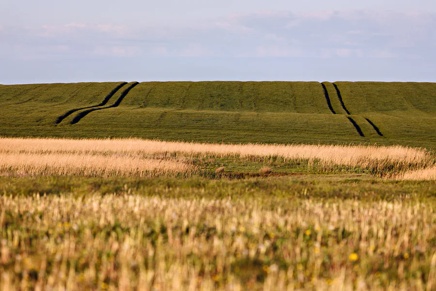 068 | 2025 | Lemvig | © carsten riede fotografie