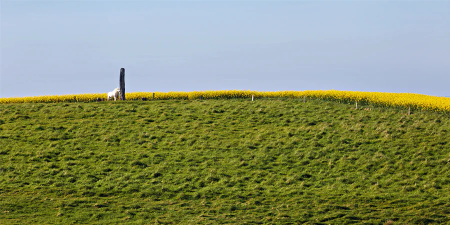 069 | 2025 | Lemvig | © carsten riede fotografie